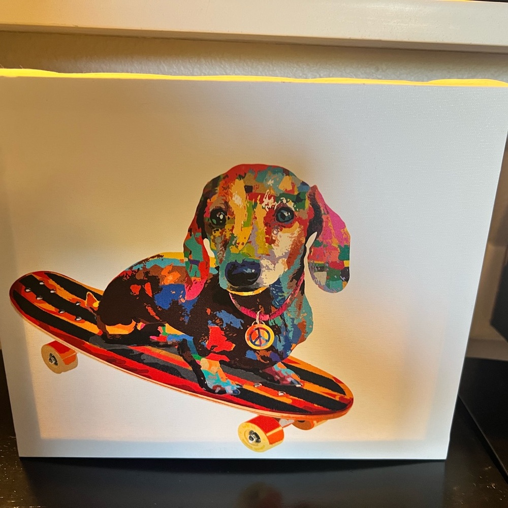 Colorful Dachshund Skateboard Canvas Art